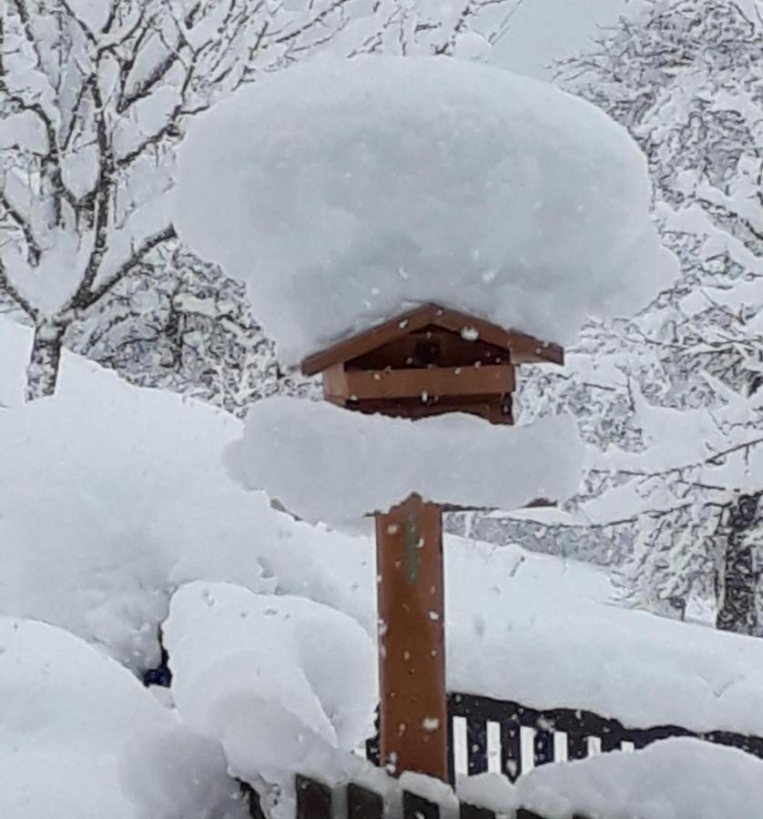 Gruberhof Villa ไรท์ แอม อัลป์บาคทัล ภายนอก รูปภาพ